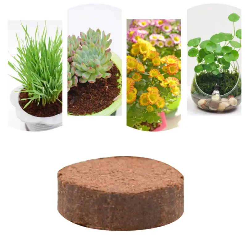 5Pcs Natural Bricks Tortoise Earth Home Gardening Substrate for Reptile Habitat Decoration DIY Gardening