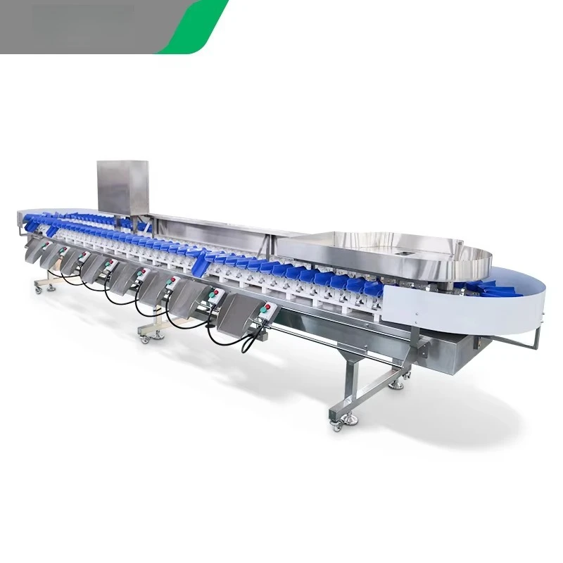 Fruit Weight Sorting Grader Electronic Weigher Conveyor Belt Scale Potato Dragon Fruit Avocado Orange Processing Customized