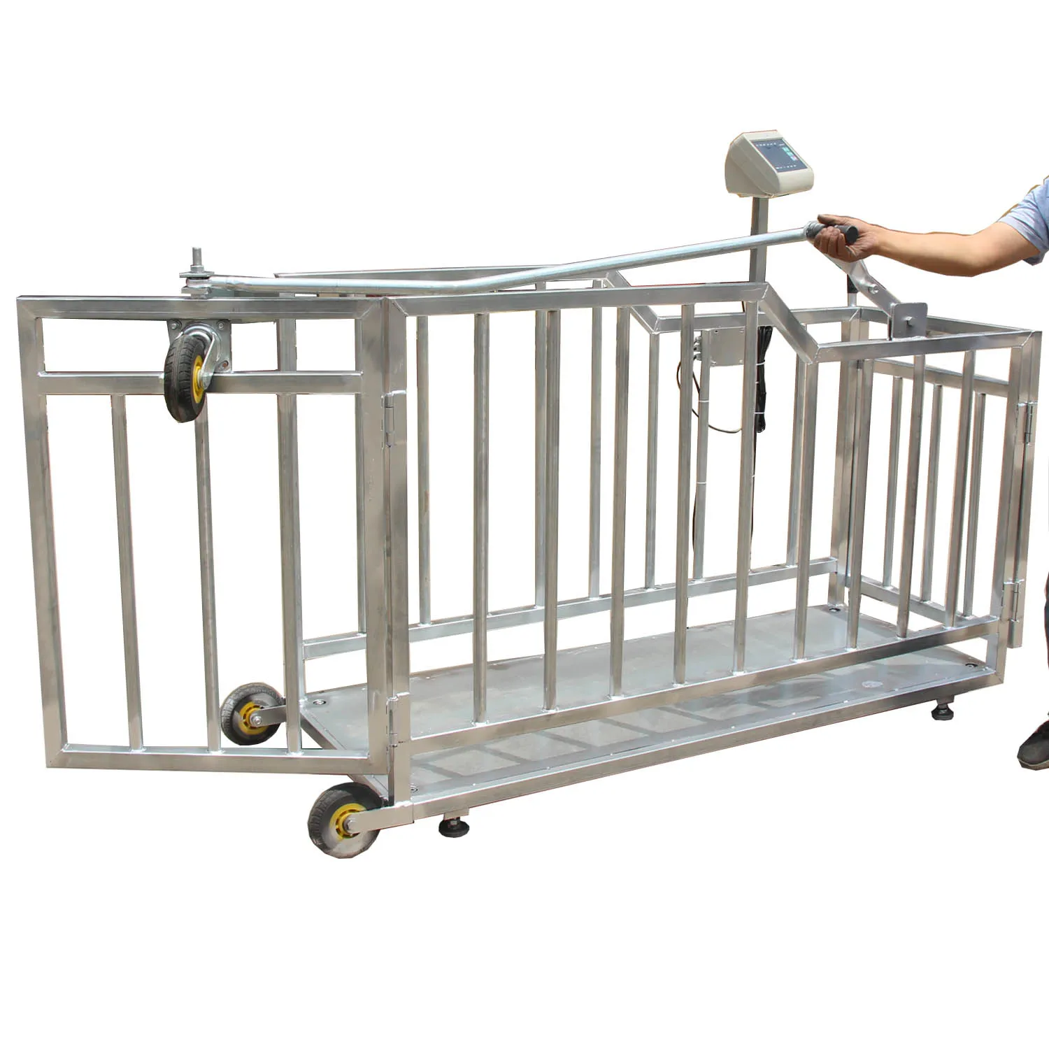 Portable calf weighing and grouping machine