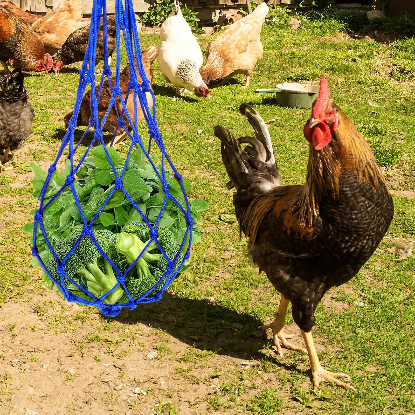 Hanging Livestock Feeding Mesh Bag Parrot Food Bunny Stuff Nylon Chicken Feeder