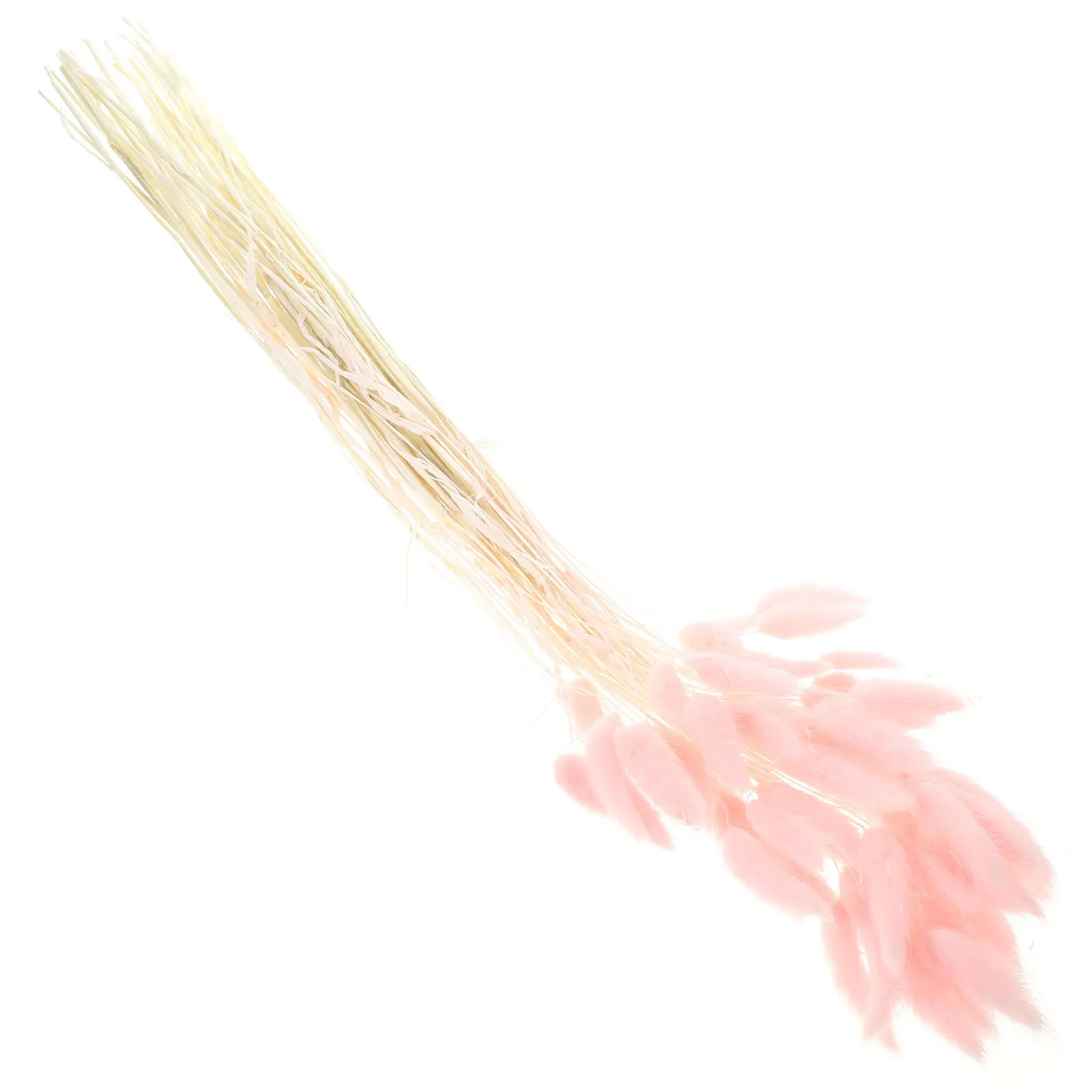 120 قطعة ذيل أرنب مجفف طبيعي عشب طويل الأمد ديكور المنزل الزفاف تشكيلة زهور ذاتية الصنع عشب ذيل أرنب مجفف طبيعي #4