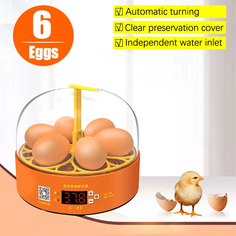 6Eggs Household Mini Egg Incubator Automatic Turning Temperature Control Breeding Hatchery Chicken Birds Quail Duck Farm Brooder
