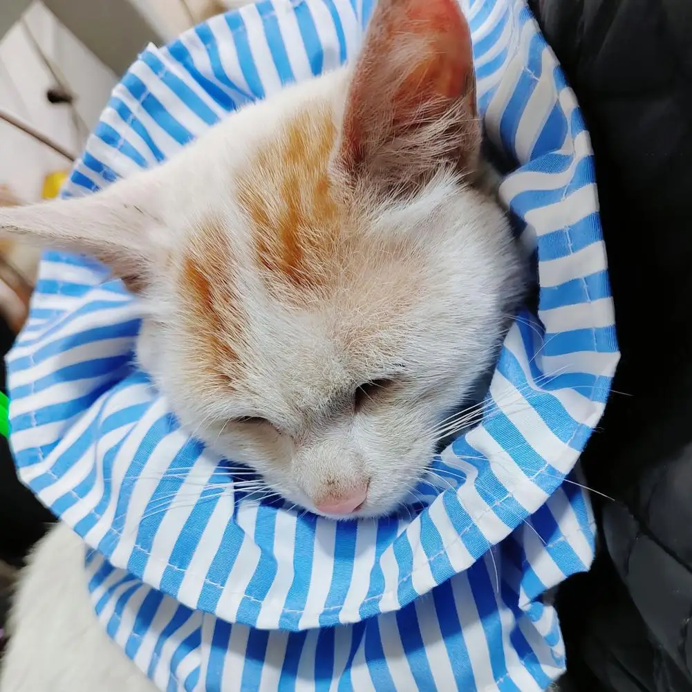 Pet Cervical Collar  Cozy Classic Striped Reusable  Post Surgery Cat Dog Scarf Collar Pet Supplies