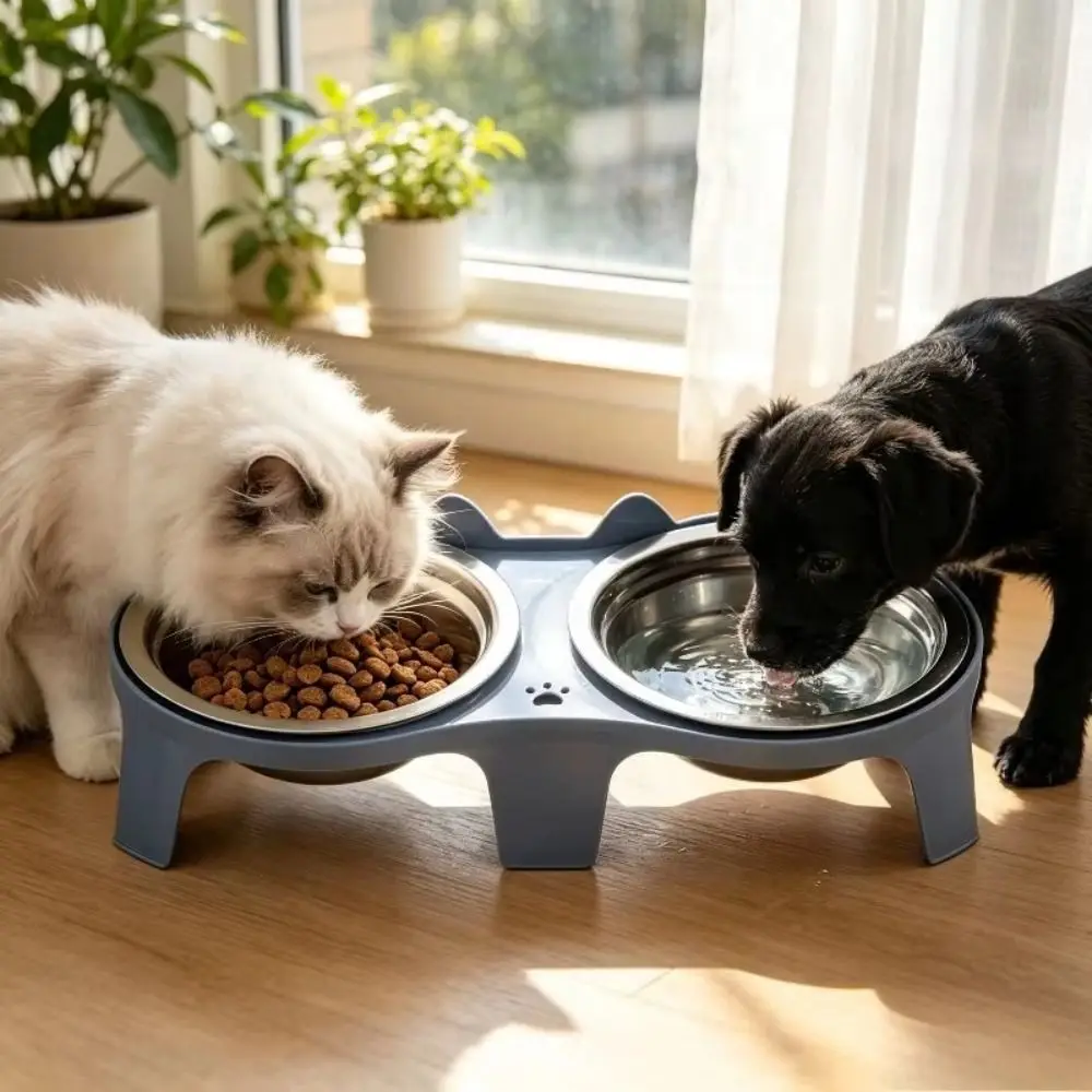 Raised Cat Bowl Double Cat Bowl Stainless Steel Sloped Food Water Bowls Anti-Tip Base Raised Structure Pet Bowl Set
