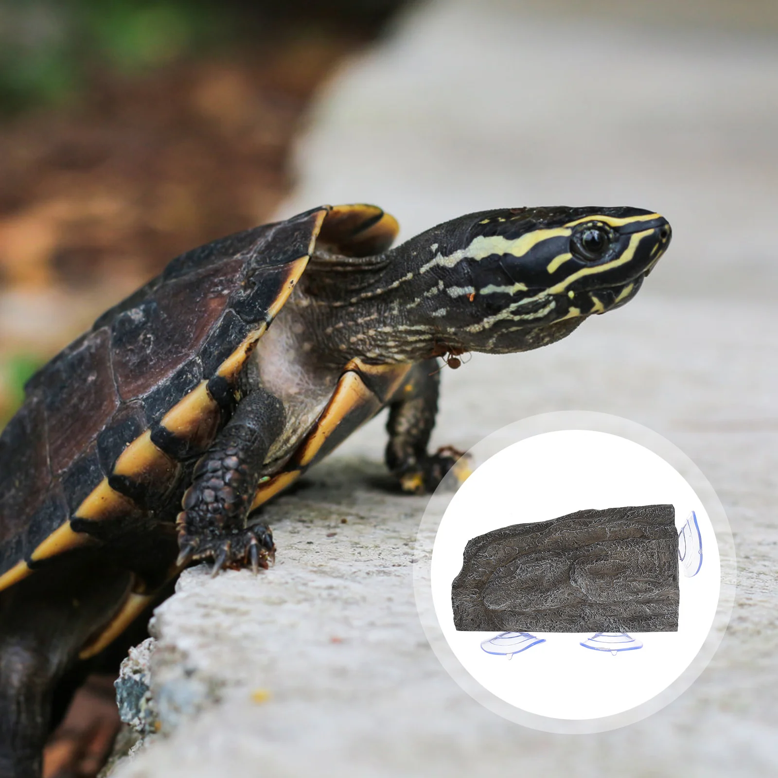 منصة الفرح السلحفاة محاكاة تصميم الحجر السلاحف الصغيرة الزواحف يستريح حوض خزان الأسماك ديكور السلحفاة الموئل الملحقات