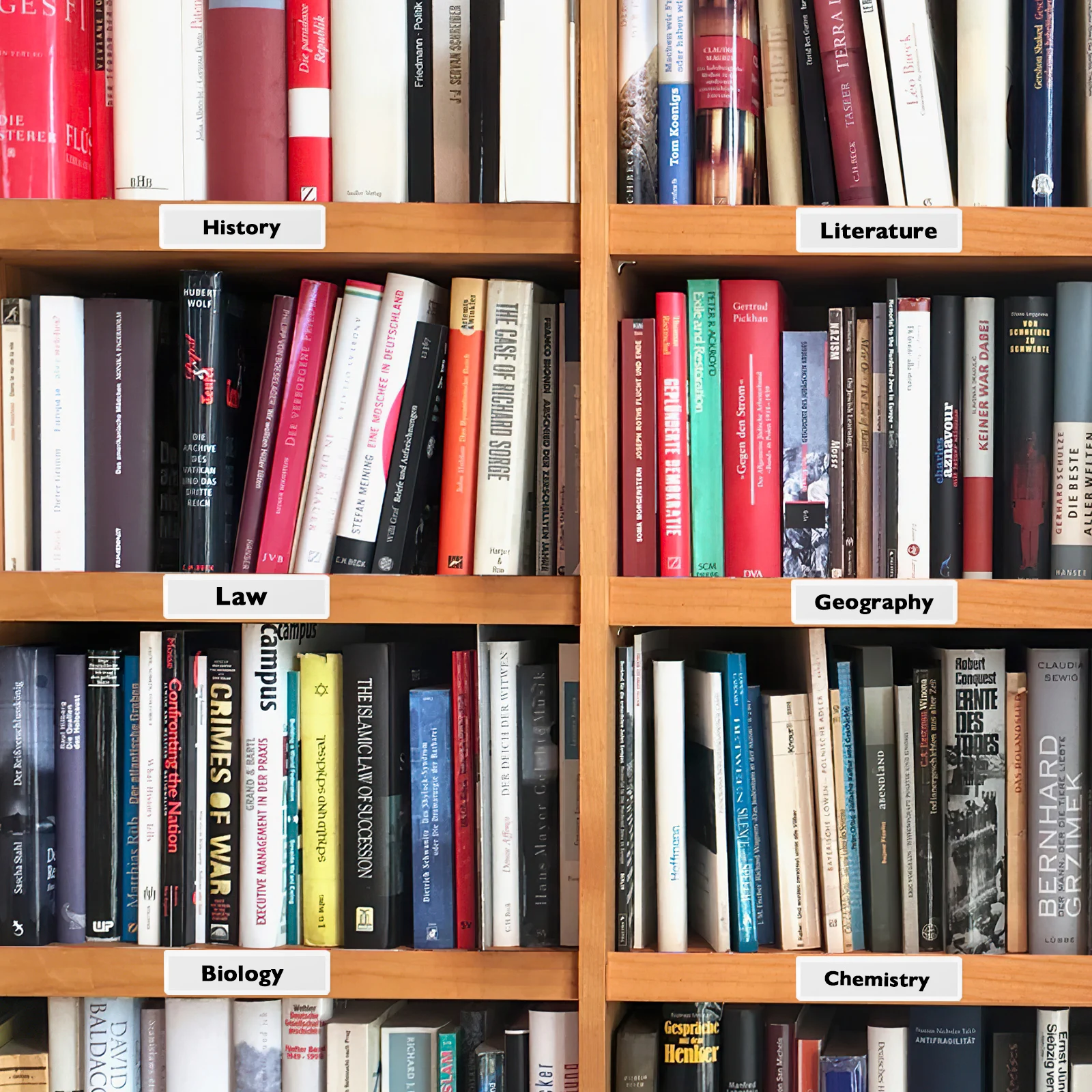 1 Set Clear Adhesive Label Holders With Paper Inserts For Storage Bins File Cabinets Office Study Organization Label Pockets