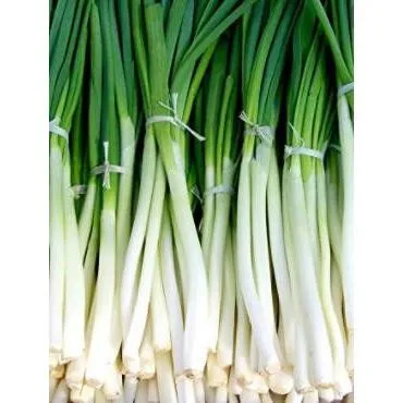 Seeds Onion Seven-year-old Baikal 50g over 15000 seeds without GMO