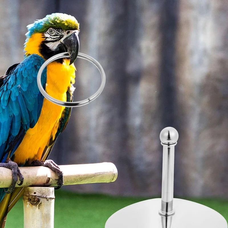 

Suitable for parrot compact physical activity equipment, 2-piece set of bird training intellectual props