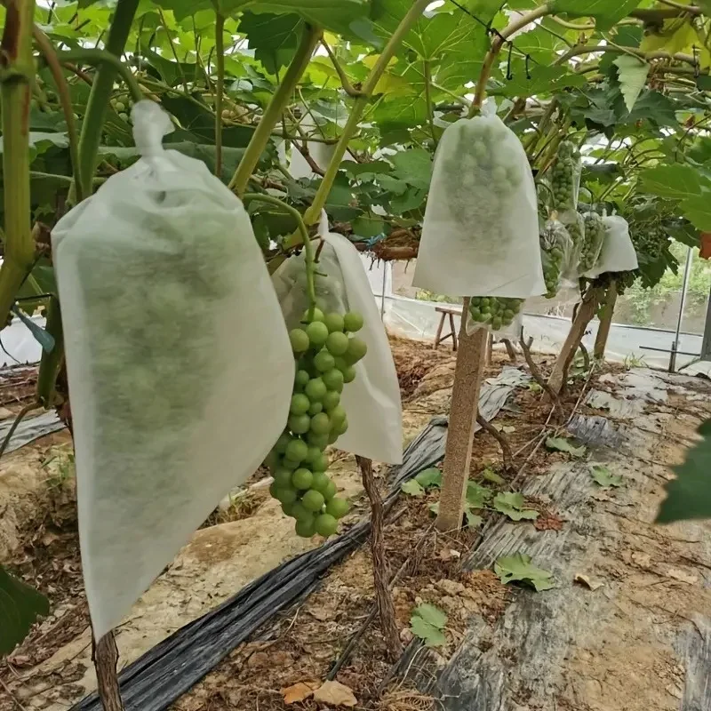 

50/100Pcs White Mesh Fruit Protection Bag Durable PP/TPE Non-woven Fabric Covered Suitable for Vineyard and Home Garden Planting