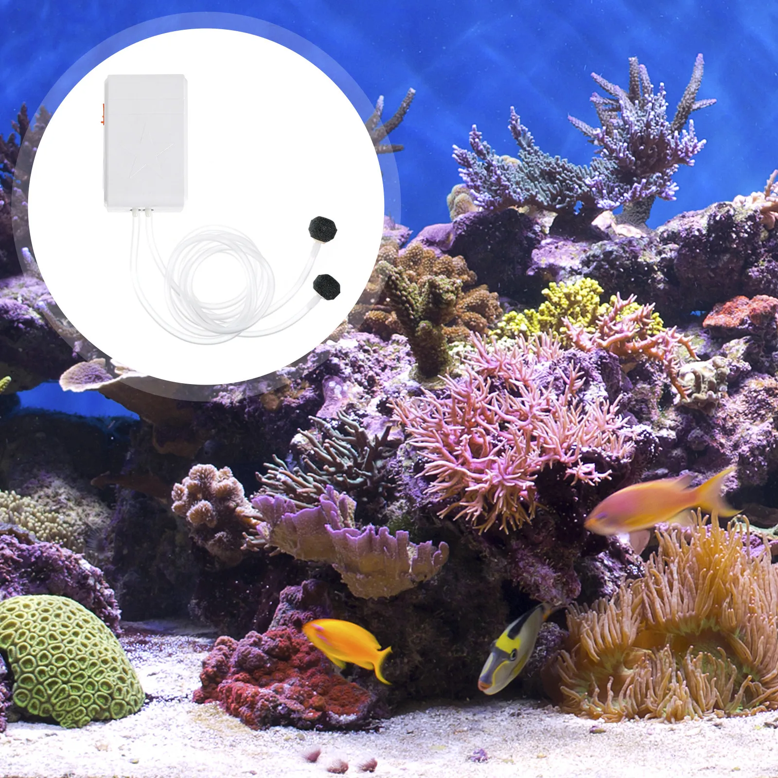

Dual Outlet Fish Tank Oxygen Pump Portable USB Rechargeable Aquarium Air Pump Quiet Mini Aerator for Fish Shrimp Home Tank