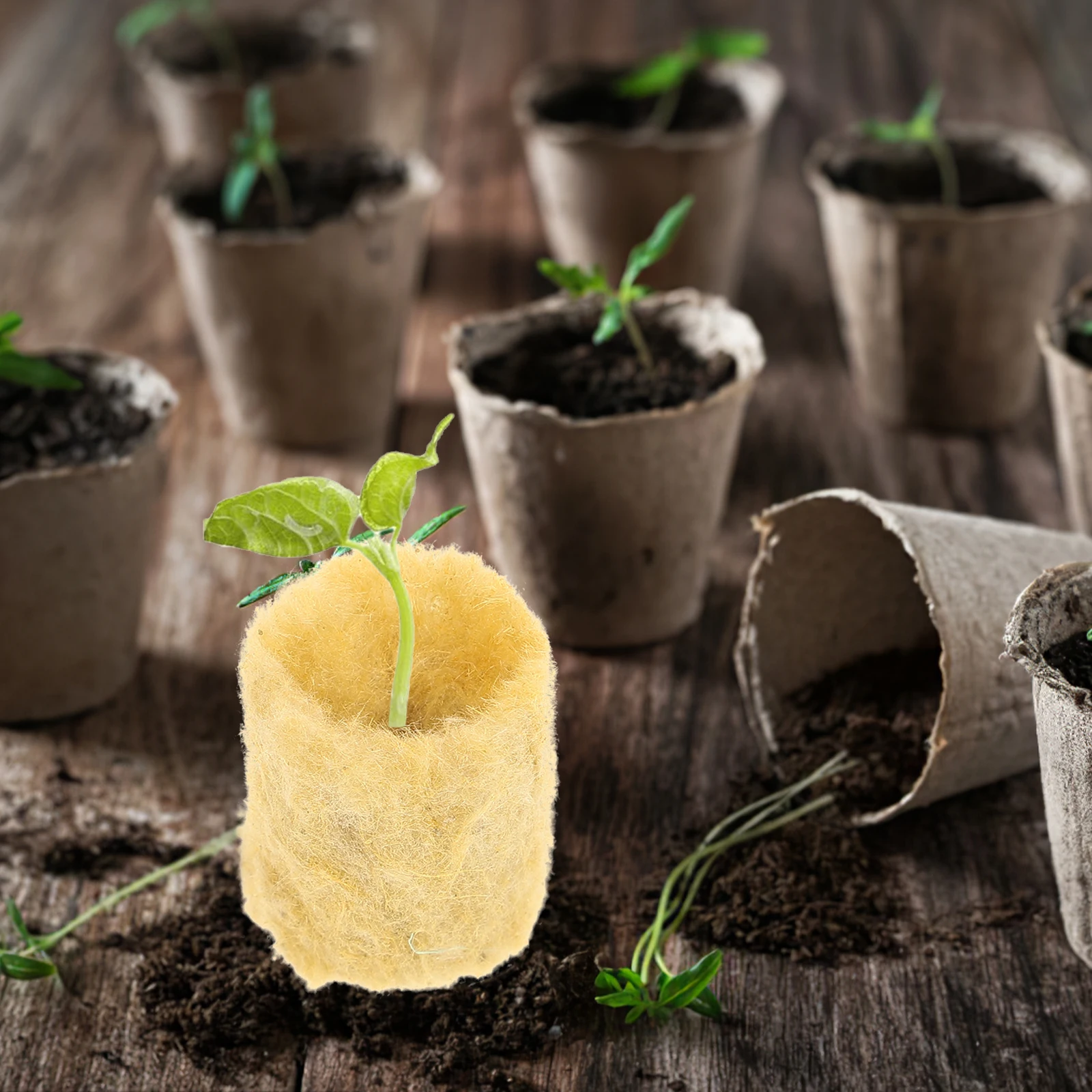 

100 шт. блоков для беспочвенного выращивания, гидропонных стартовых наборов, питательных заглушек для рассады овощей и цветов