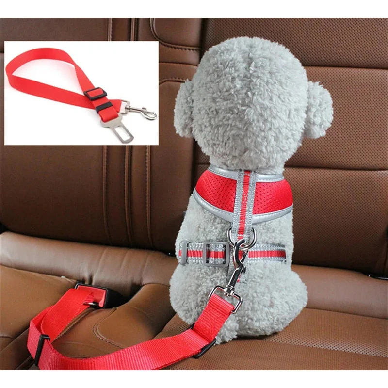 1-4 Stück Haustier Katze Hund Autosicherheitsgurt Geeignet für universelle Sicherheitsschnalle Verstellbares Sicherheitsseil Hunde-Autosicherheitsgurte Hundezubehör