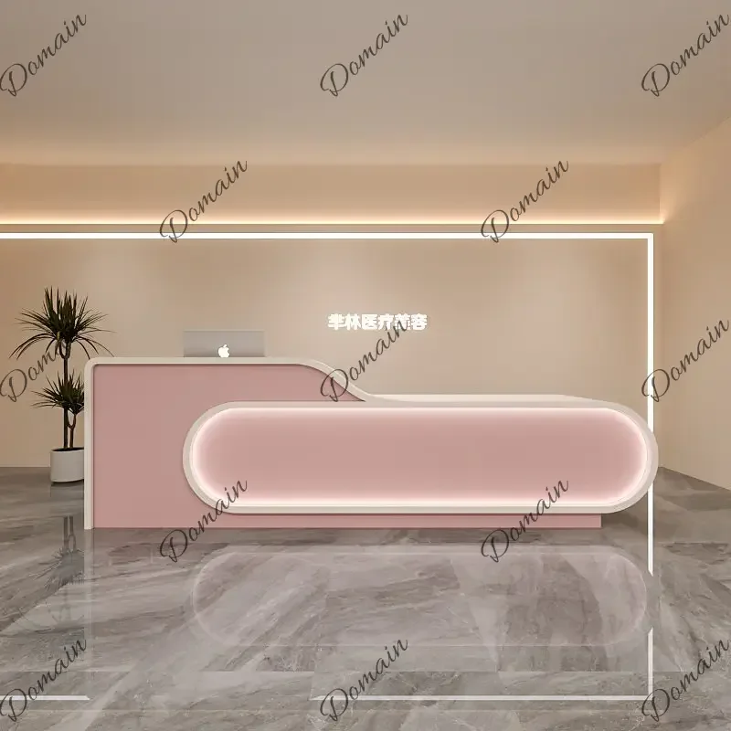 XX The Front Desk Reception Desk Of The Paint Baking Company Can Be Customized Computer Desk Bureaux De Travail Designer Furnitu