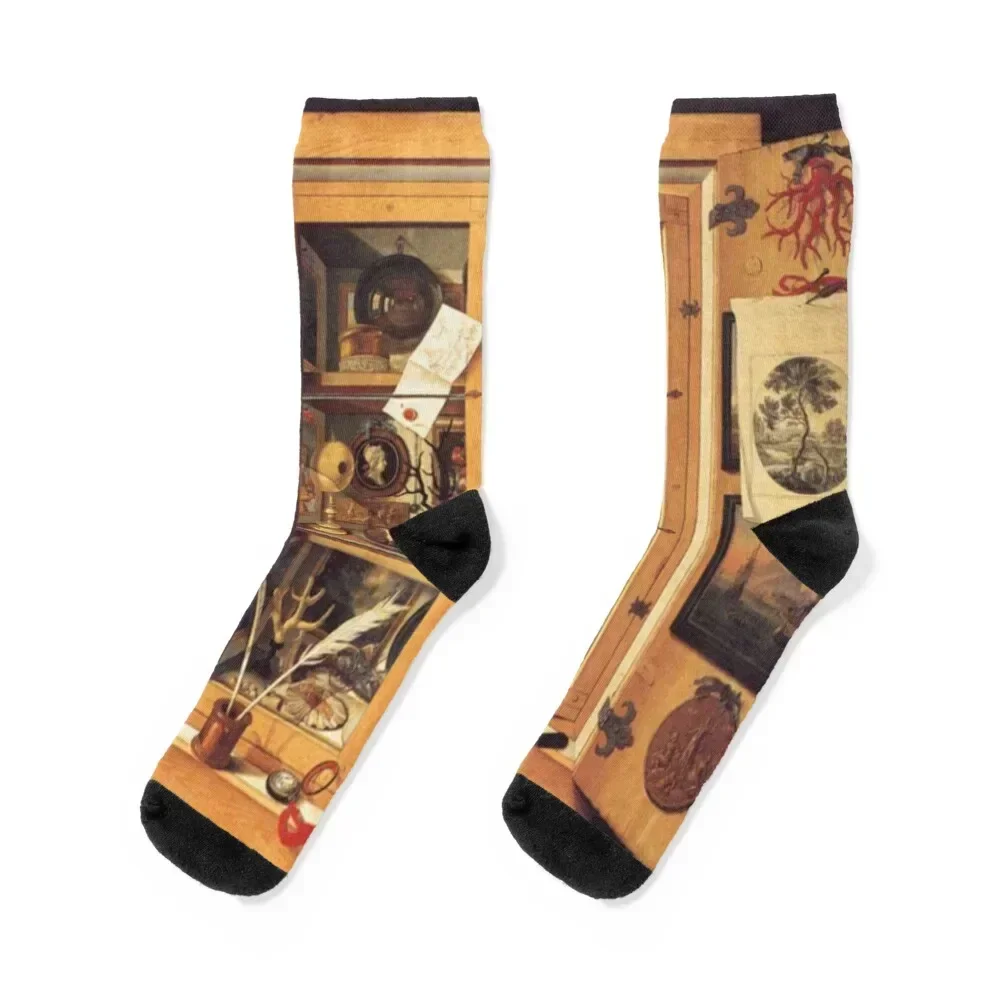 

Cabinet Of Curiosities Socks heated Toe sports funny gift sheer Socks Men Women's