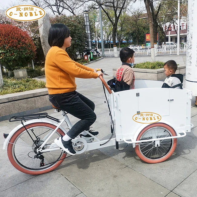 Electric 3 Wheel Trike for Adults Cargo Bike for Children Groceries Transport Bicycle