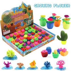 1pc novelty nice plant pots swell with water growing up Creative children's interesting toys Christmas presents