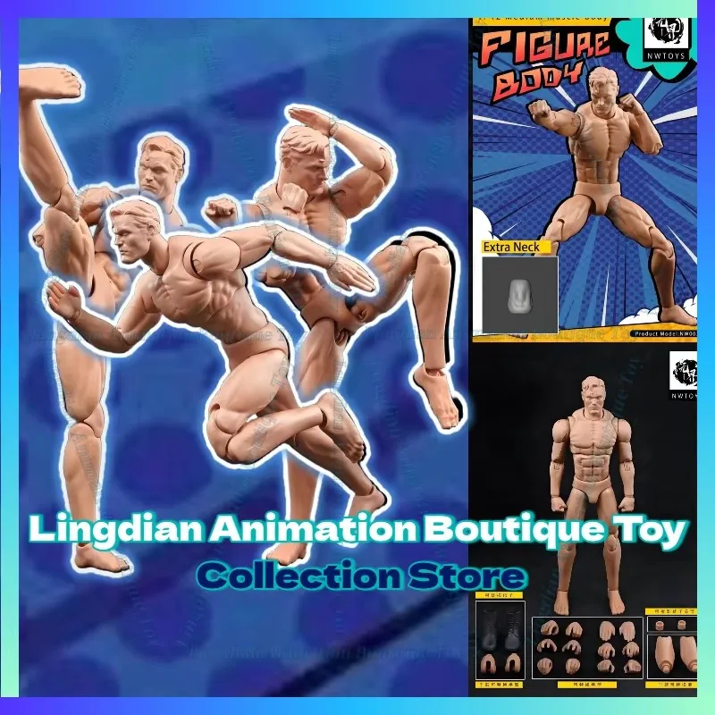 nwtoys-1-12-nw02-男性兵士-中筋肉質ボディ-超柔軟性-軍事戦闘関節人形-166cm-塗装済みアニメアクションフィギュア