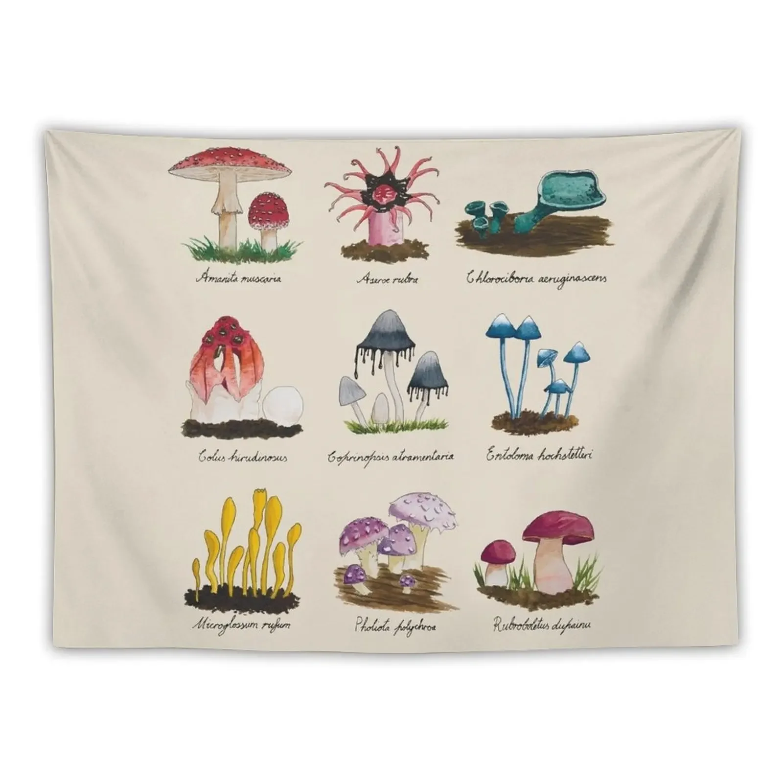 Naturalist Fungus Mushroom Collection Watercolour Antique Tapestry Room Decorating Aesthetic Tapestry