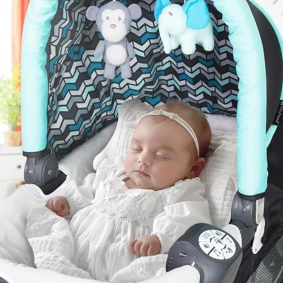 مسرح مركز الحضانة في منتجع إيليت، لاغونا