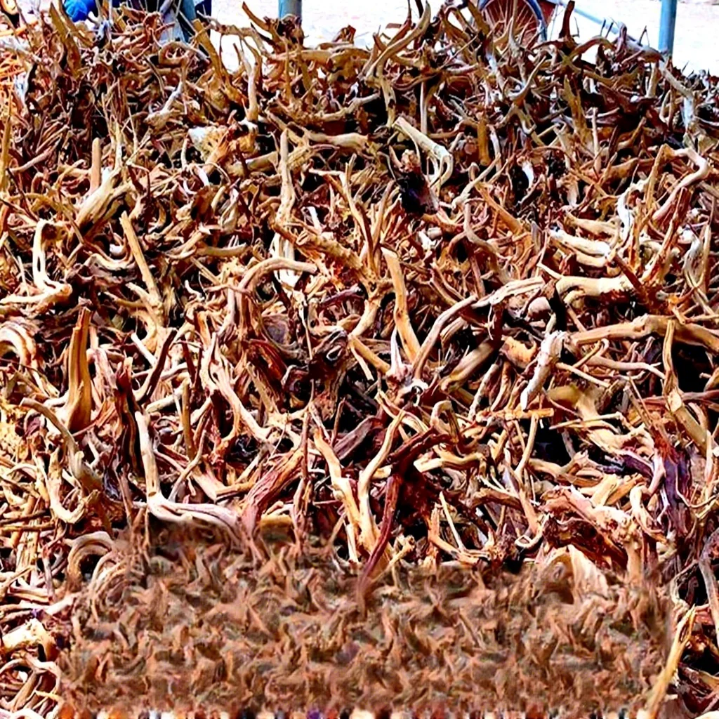 Natural Driftwood Branches For - Aquarium Plant Roots recension och pris