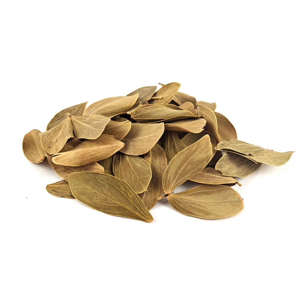 أوراق طبيعية حوض السمك الديكور 100 قطعة Termalia الطبيعية Catappa Foetida يترك خزانات الأسماك تصفية للبيئة الصحية