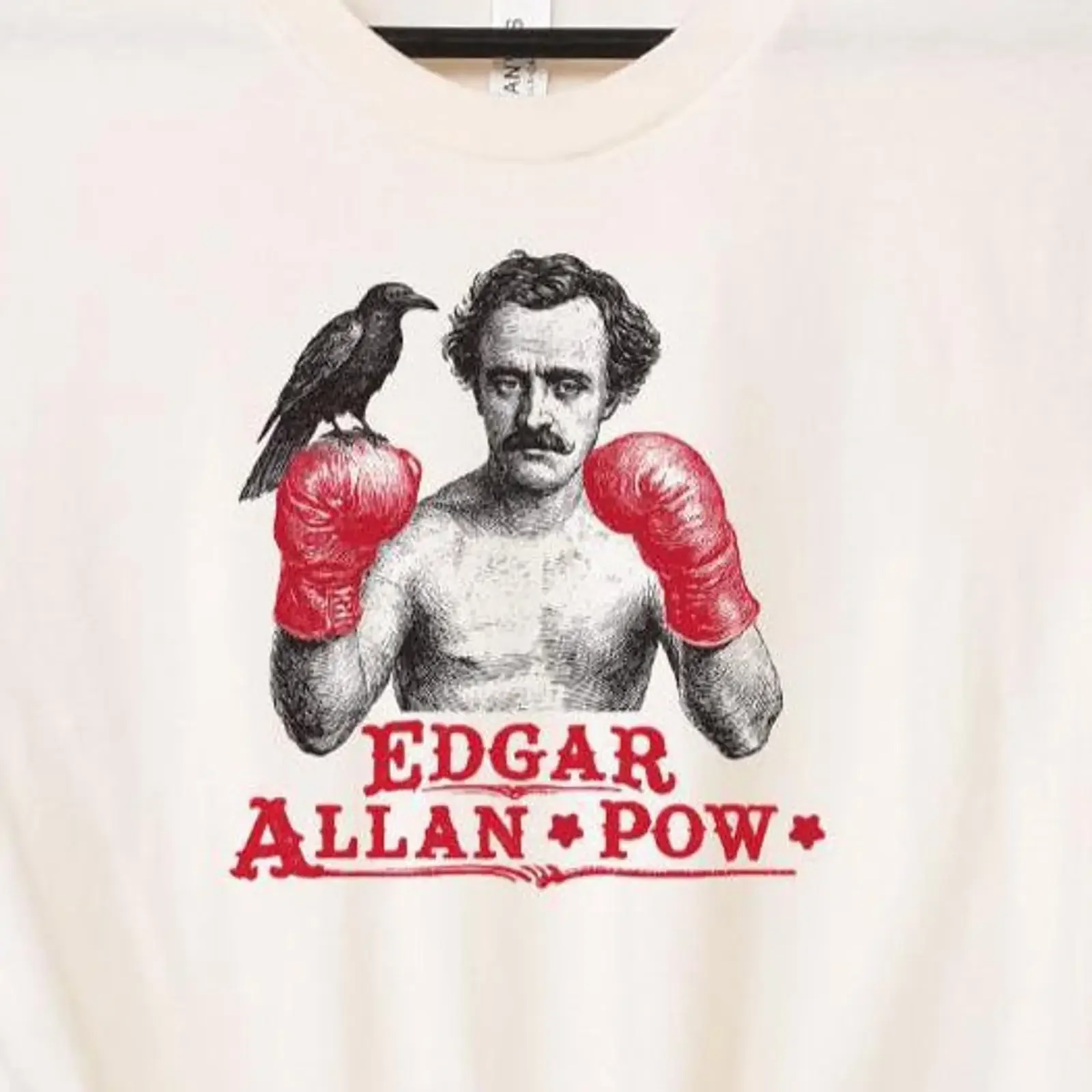 Edgar Allan Pow Funny Pun T Shirt Vintage Poe Literature Boxing Raven Writer Book Lover vintage Washed Soft graphic