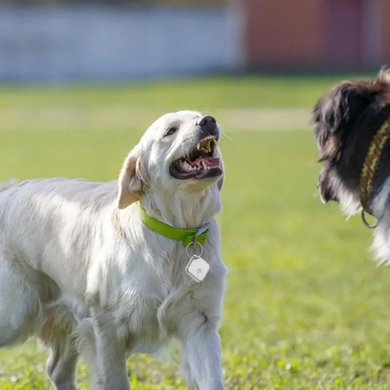 Dispositivo di localizzazione del cane GPS IPX65 impermeabile Anti-smarrimento 60db Tag di tracciamento dell'allarme alimentato a batteria a prova di polvere localizzatore di gatti chiave sigillata
