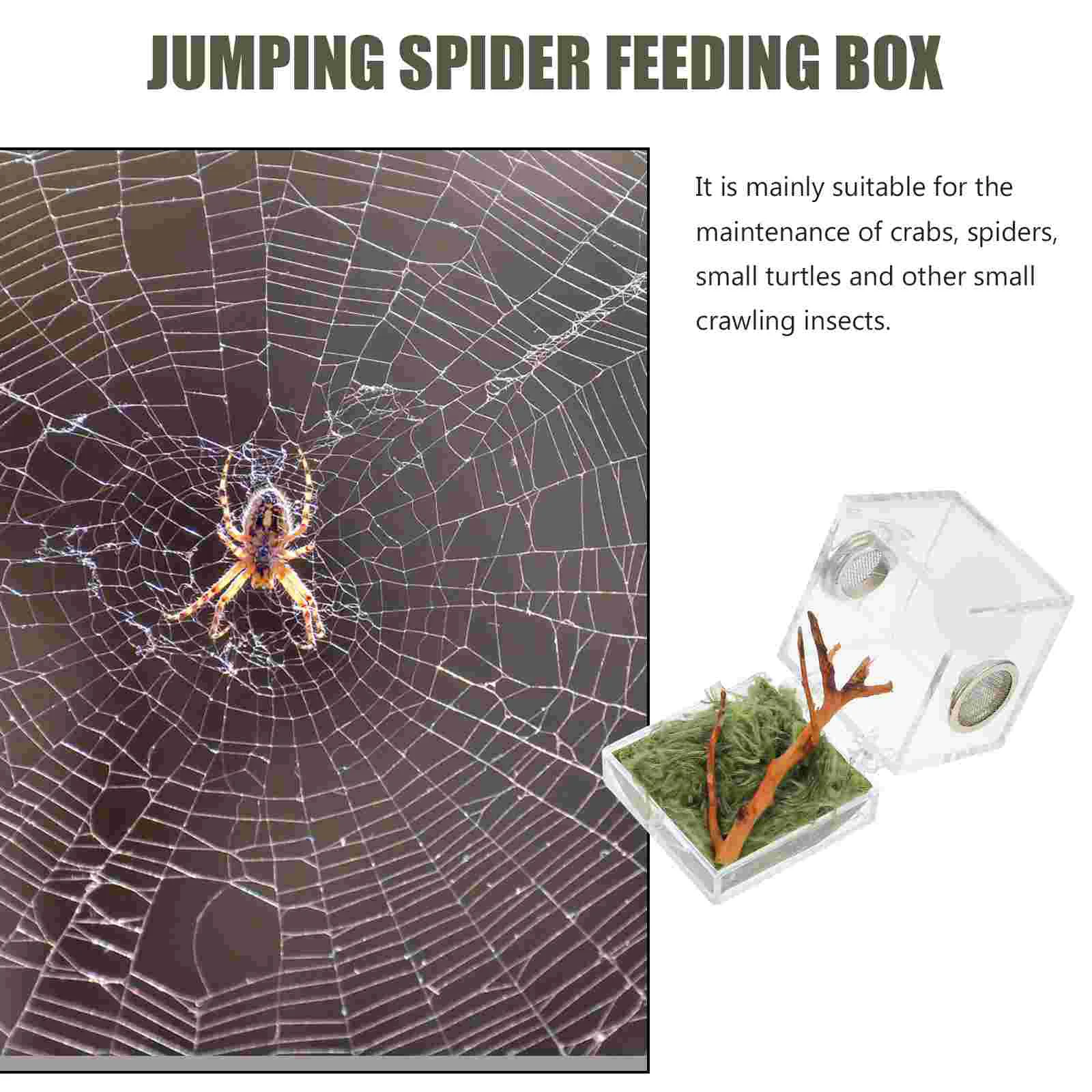 Jumping Spider Breeding Box Animal House Terrarium Pet Container Acrylic Habitat Holder Accessory Living Case Cage