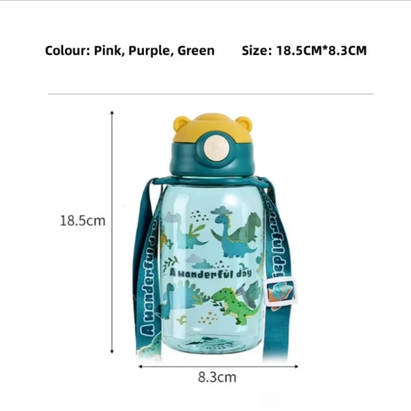 BPA-Free Water Bottle with Pop-Up Lid, Cartoon Design, Transparent & Portable Sealed, Ideal for Special Occasions, Holiday Gifts
