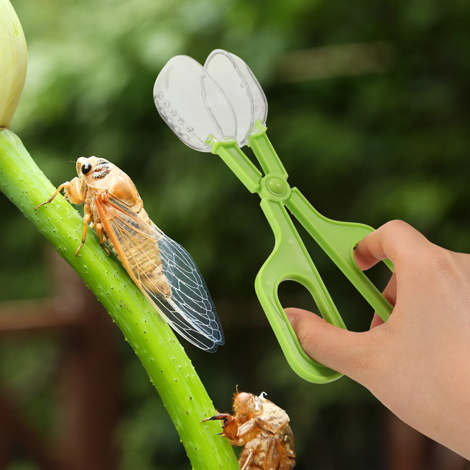 

Cleaning Feeding Clip for Insects Reptiles Plastic Multi-Functional Scooper Tongs Reptile Tank Clamp Aquarium Grabber Tool Cage