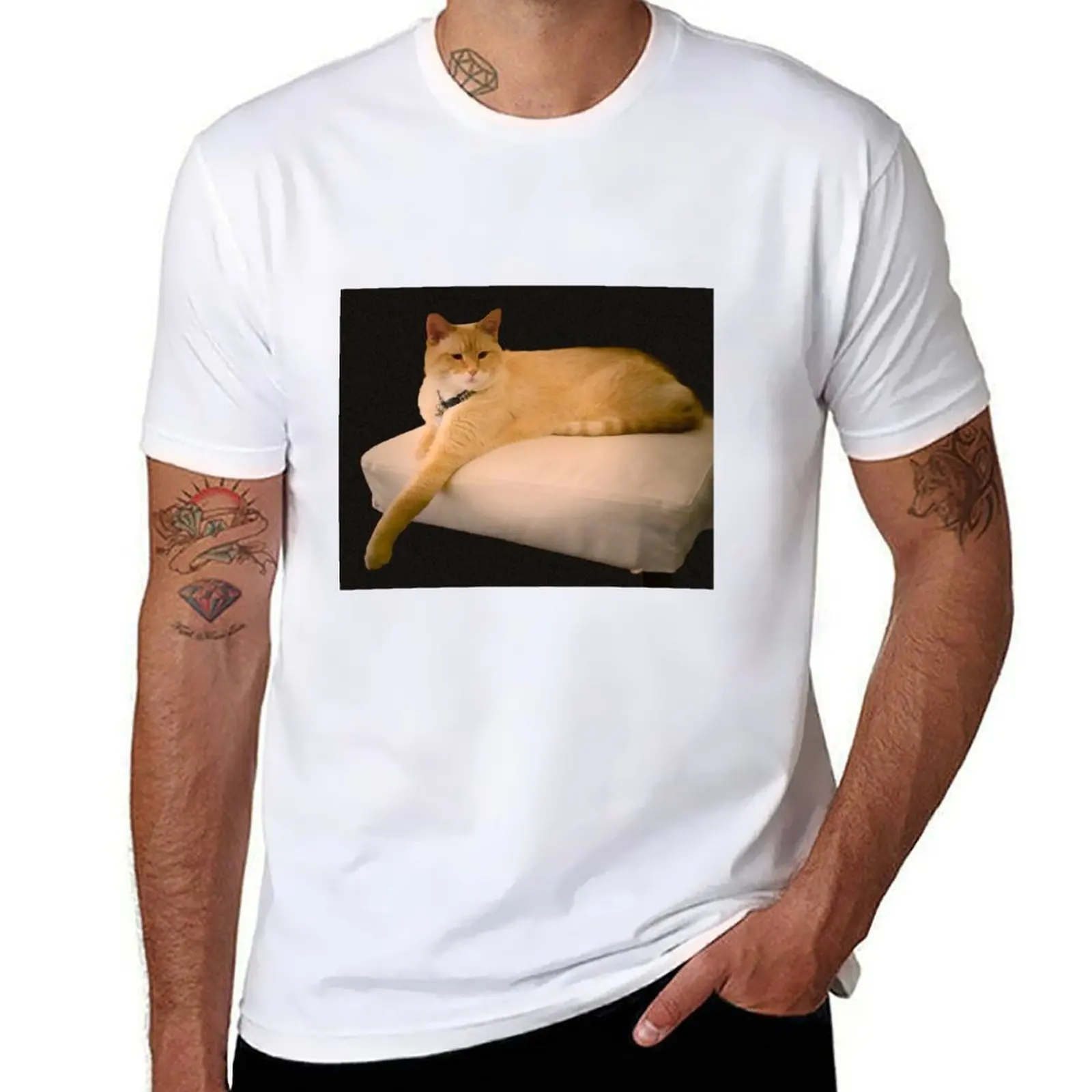 

Cats Rule T-Shirt funny t shirts man t shirts for man cotton funny T-Shirt