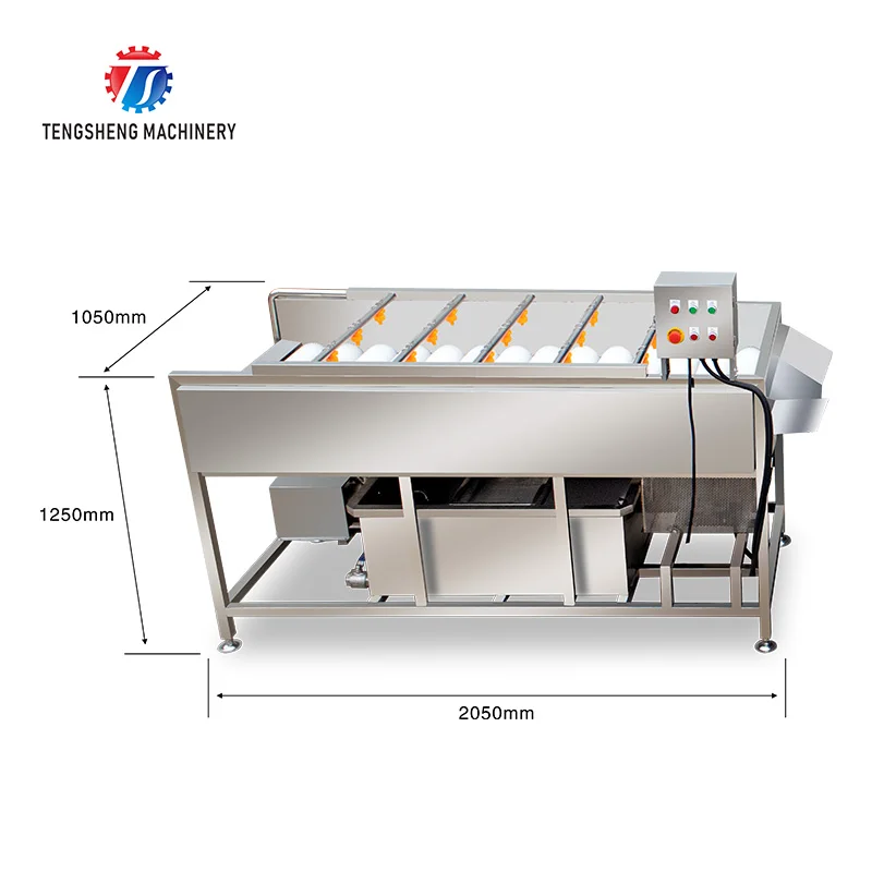 Professional Factory Potato Ginger Fruit Washing Machine Tomato Carrot Ginger Dates Cleaning Machine