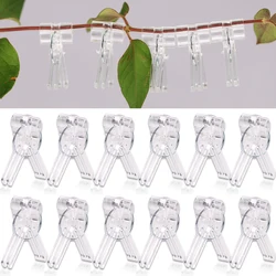 20-100PCS 15x30MM Transparent Grafting Clips Plastic Fixture Clamp for Grafted Seedlings for Cucumber Watermelon Plant Supports