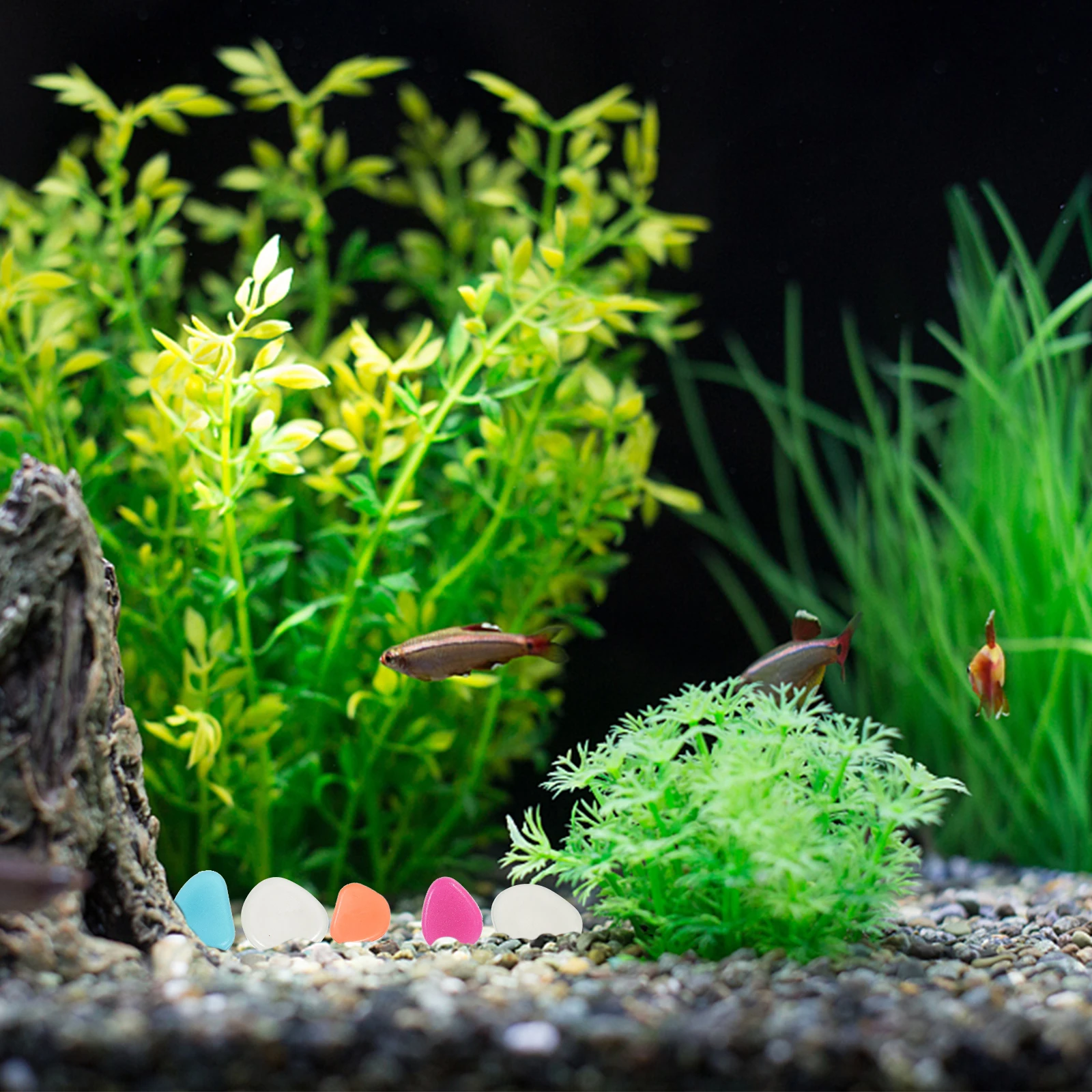 

200 Pcs Stones Safe Aquatic Fish Freshwater Saltwater Aquarium Pebbles Decorative Flowerpot Supplies L Vase