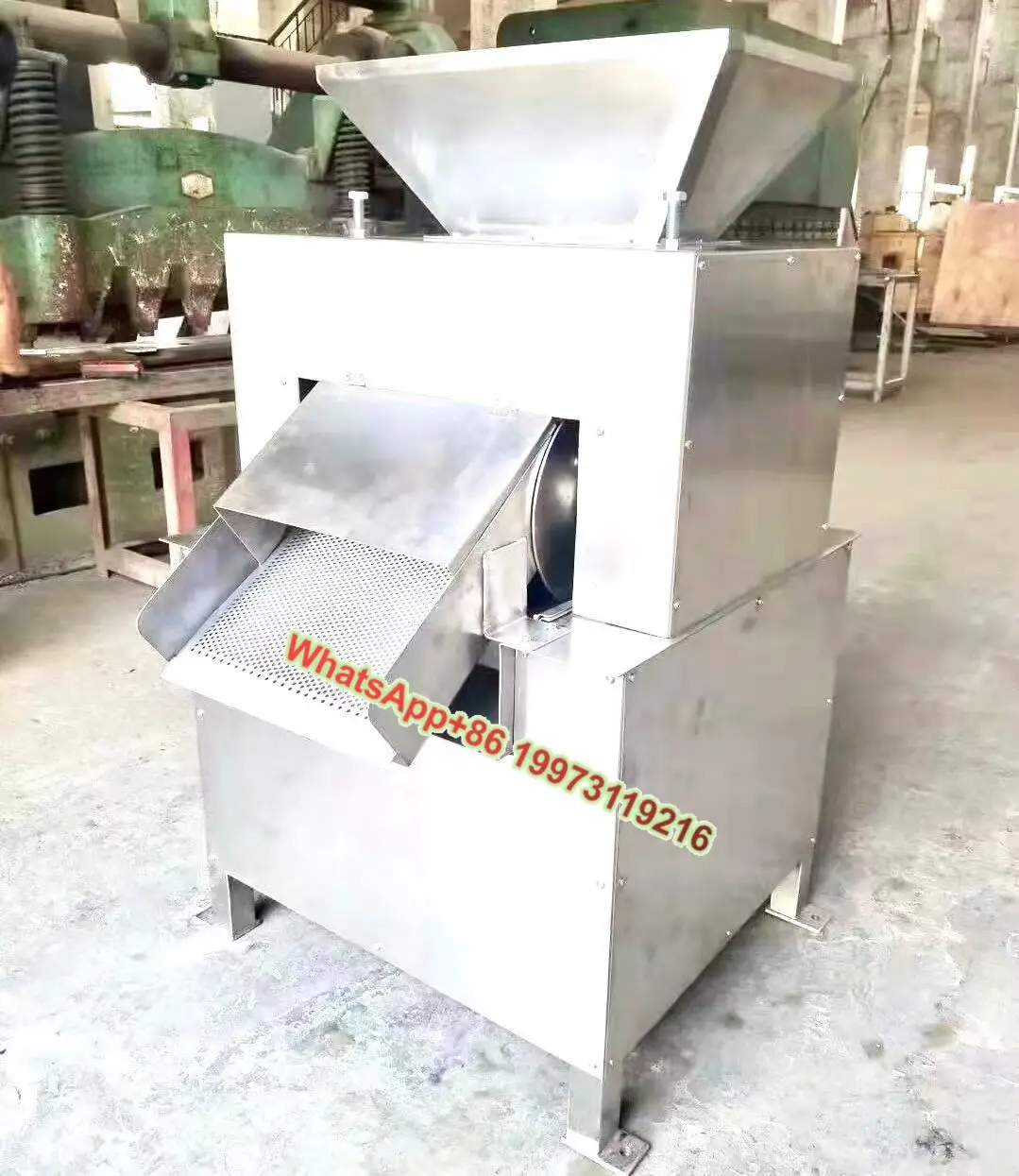 Máquina exprimidora Industrial comercial eléctrica de frutas y verduras, prensa de tornillo de jengibre para Extractor de zanahorias y zumos para zumo de frutas
