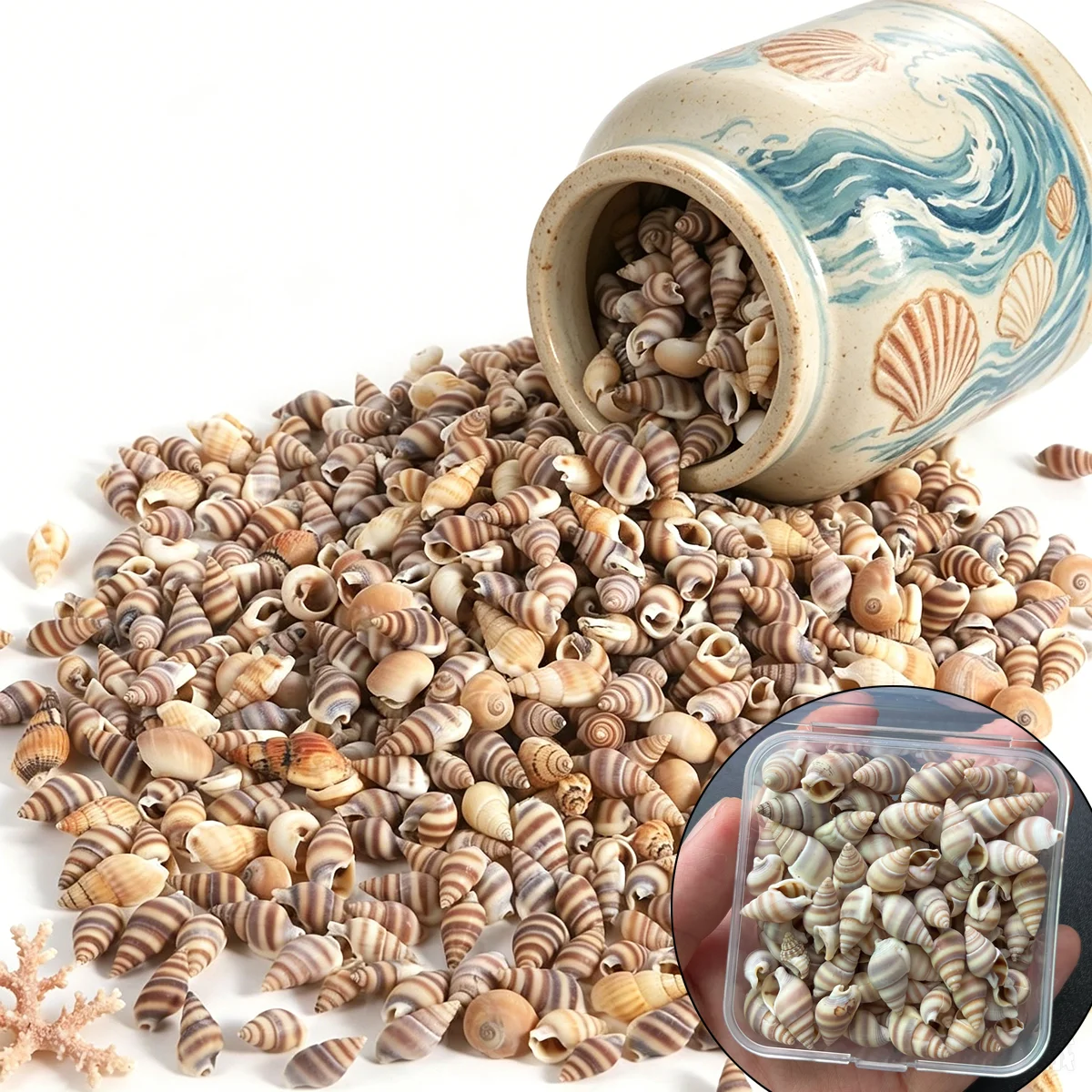 

Box Packed 100Pcs Natural Brown Striped Small Conch Shells Mini Sea Shell for DIY Jewelry Making Vase Filler Aquarium Ornaments