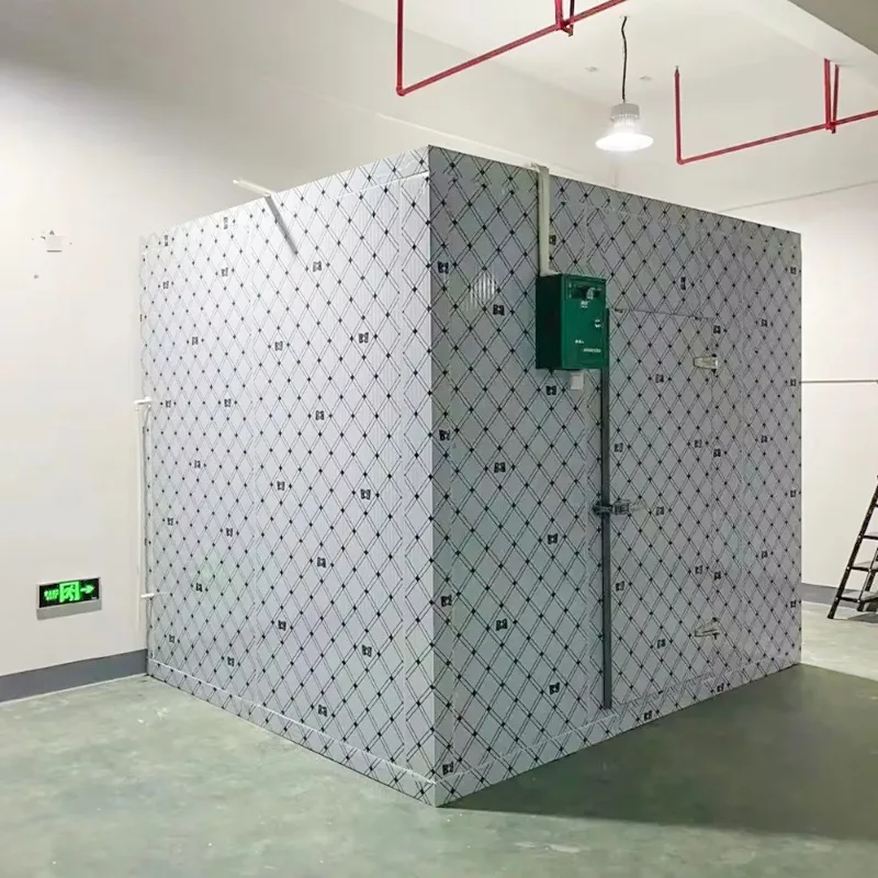 Paseo personalizado en la sala fría para enfriar carne, pescado, sala de almacenamiento en frío, comida congelada, habitación fría