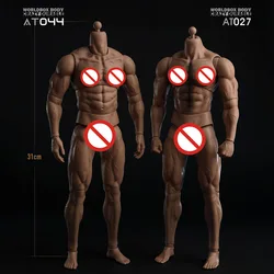 In Stock Worldbox AT044 1/6 Male Durable Durable Articulated Body 31cm Male Soldier Strong Muscle Action Figure Joint Body AT027