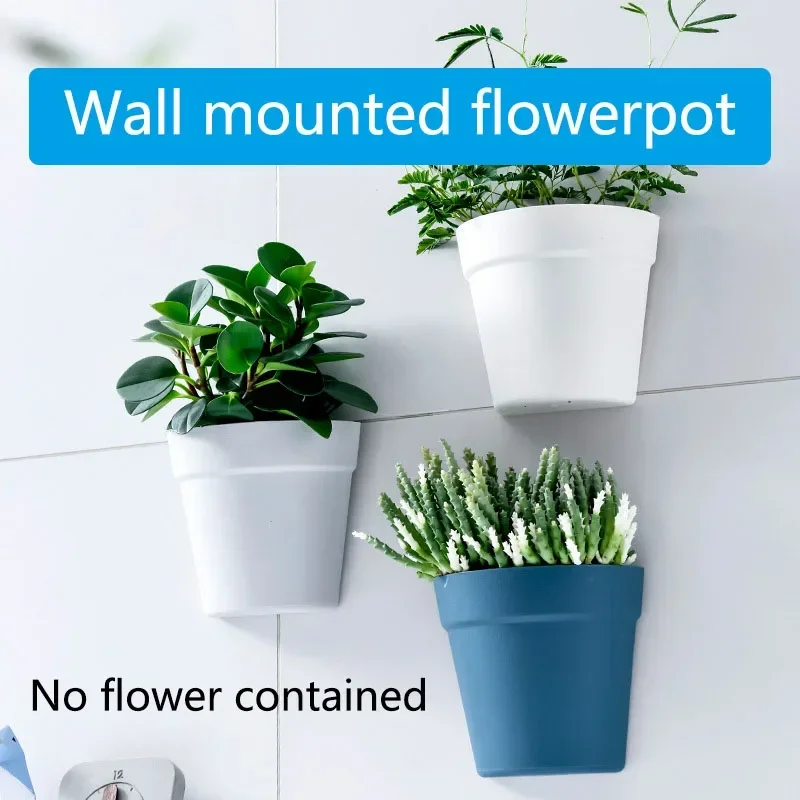 

Wall Mounted Plastic Potted Plant Flowerpot Creative Wall Hanging Planter Semi Circular Small Flower Pot Wall Decoration