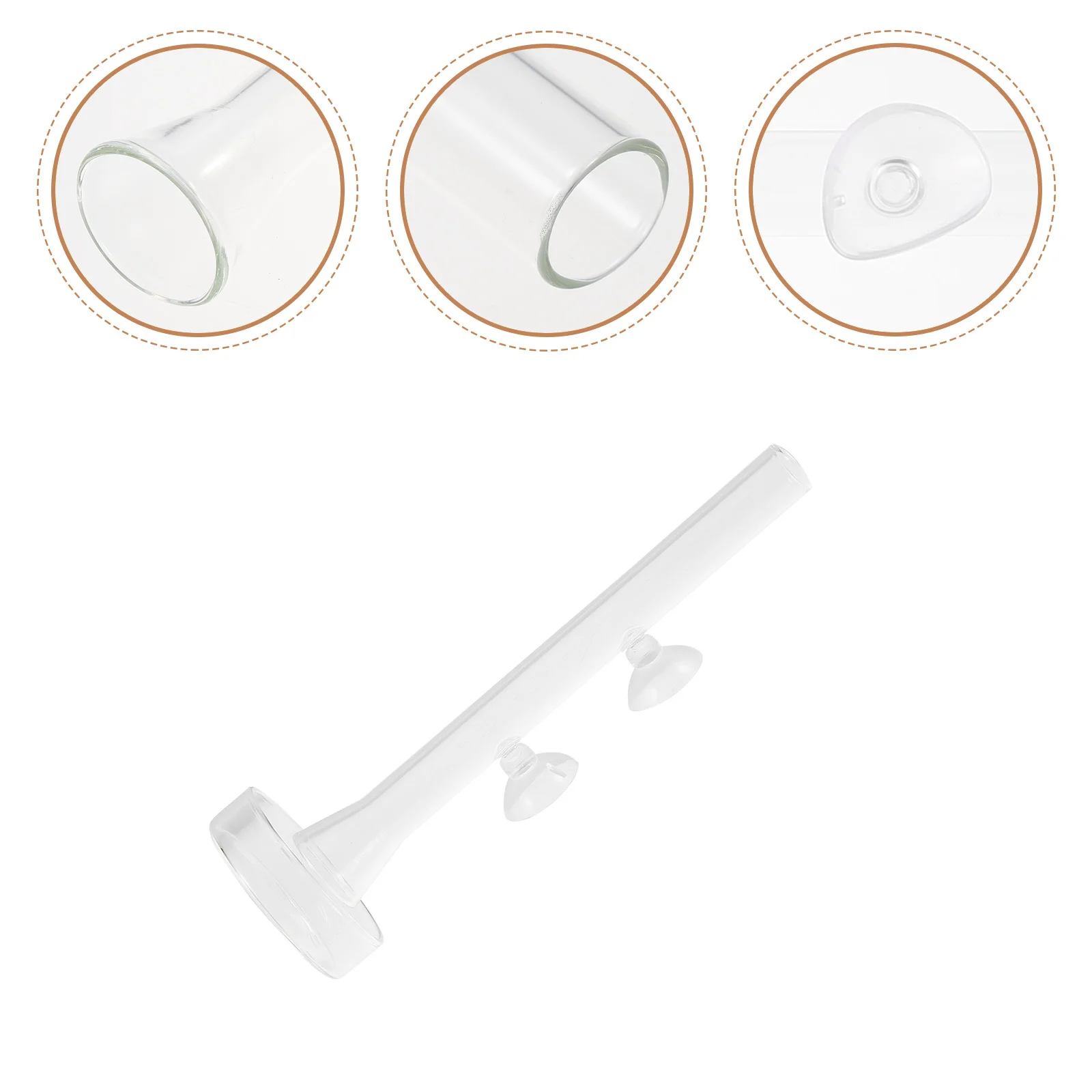 

1Set Beautiful Appearance Glass Shrimp Feeder Not Easy Deform Break Suitable Planted Tank Cherry Crystal Shrimp