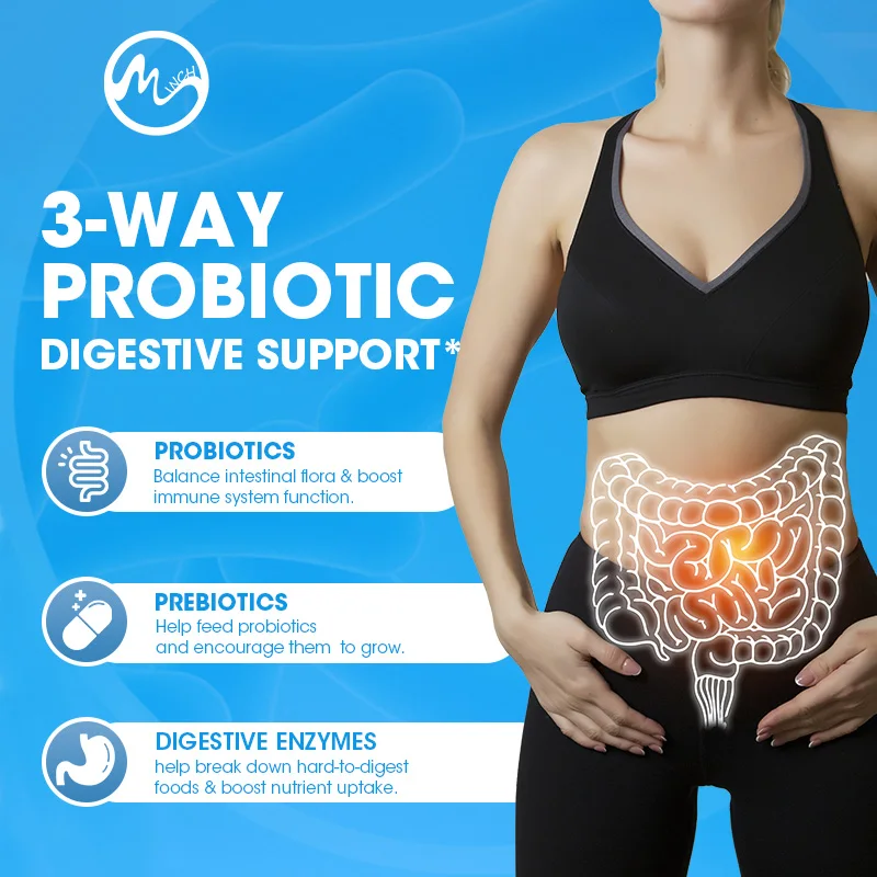 Minch Lactobacillus Probiotiques Enzymes Digestives & Fibres Prébiotiques Santé Digestive Plus Efficace Santé Intestinale Complément Alimentaire