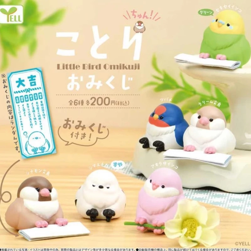 

Original Yell Japan Gashapon Figure Anime Cute Mini Cute Parrot Chickadee Birdie Draw Figurine Kawaii Capsule Toys Gift