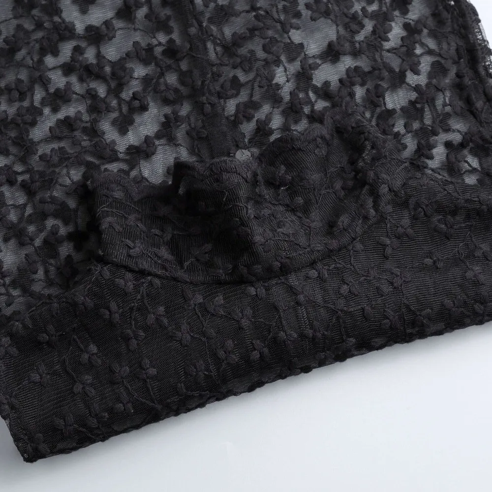 

Transparent Lace Fake False Collar Elegant Hollow Detachable High Collar Black and Apricot Floral Embroidery False Blouse