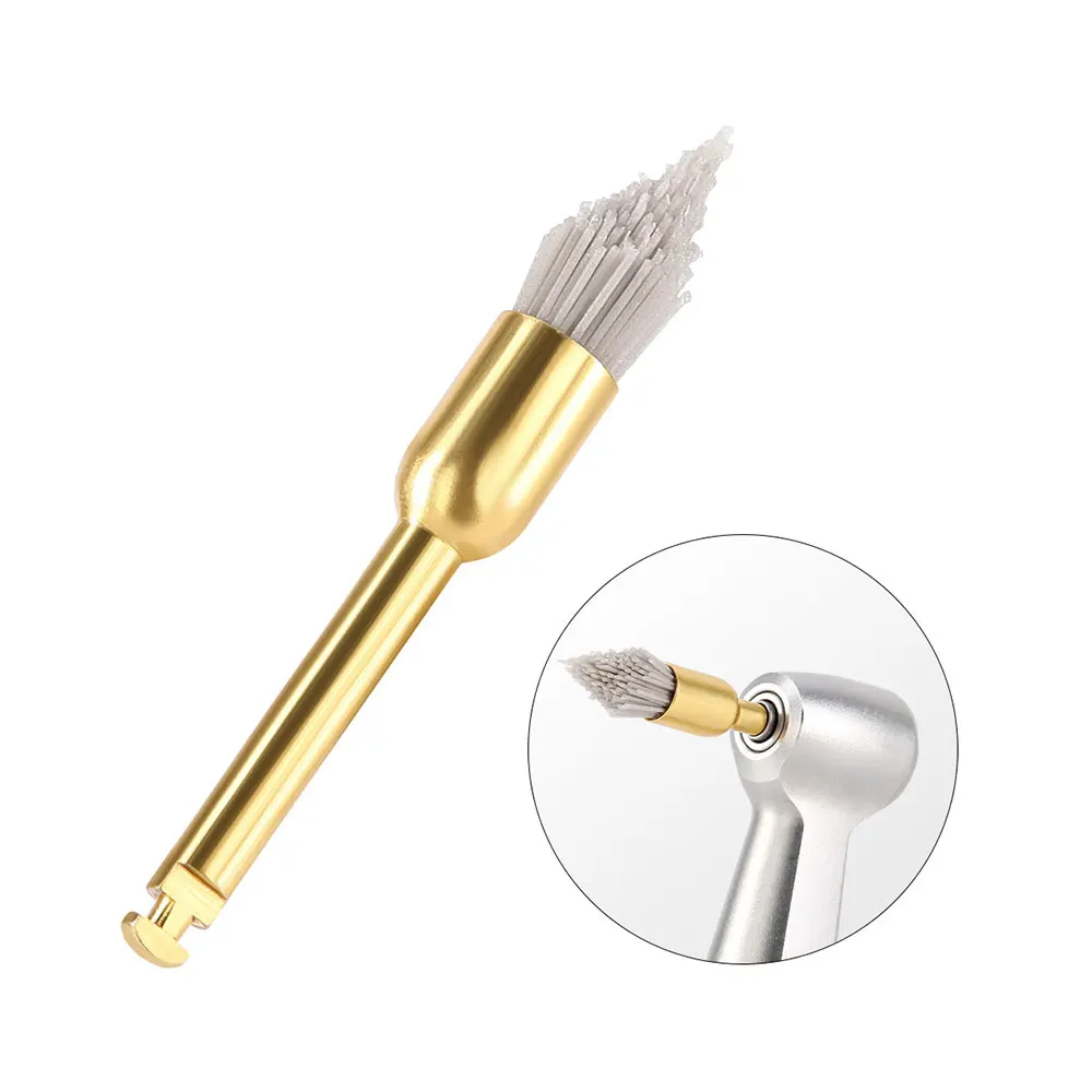 10PCS AZDENT Dental Polieren Pinsel Aluminium Oxid Siliziumkarbid Polieren Prophy Pinsel Werkzeug für Contra Winkel Handstück – Detail 6
