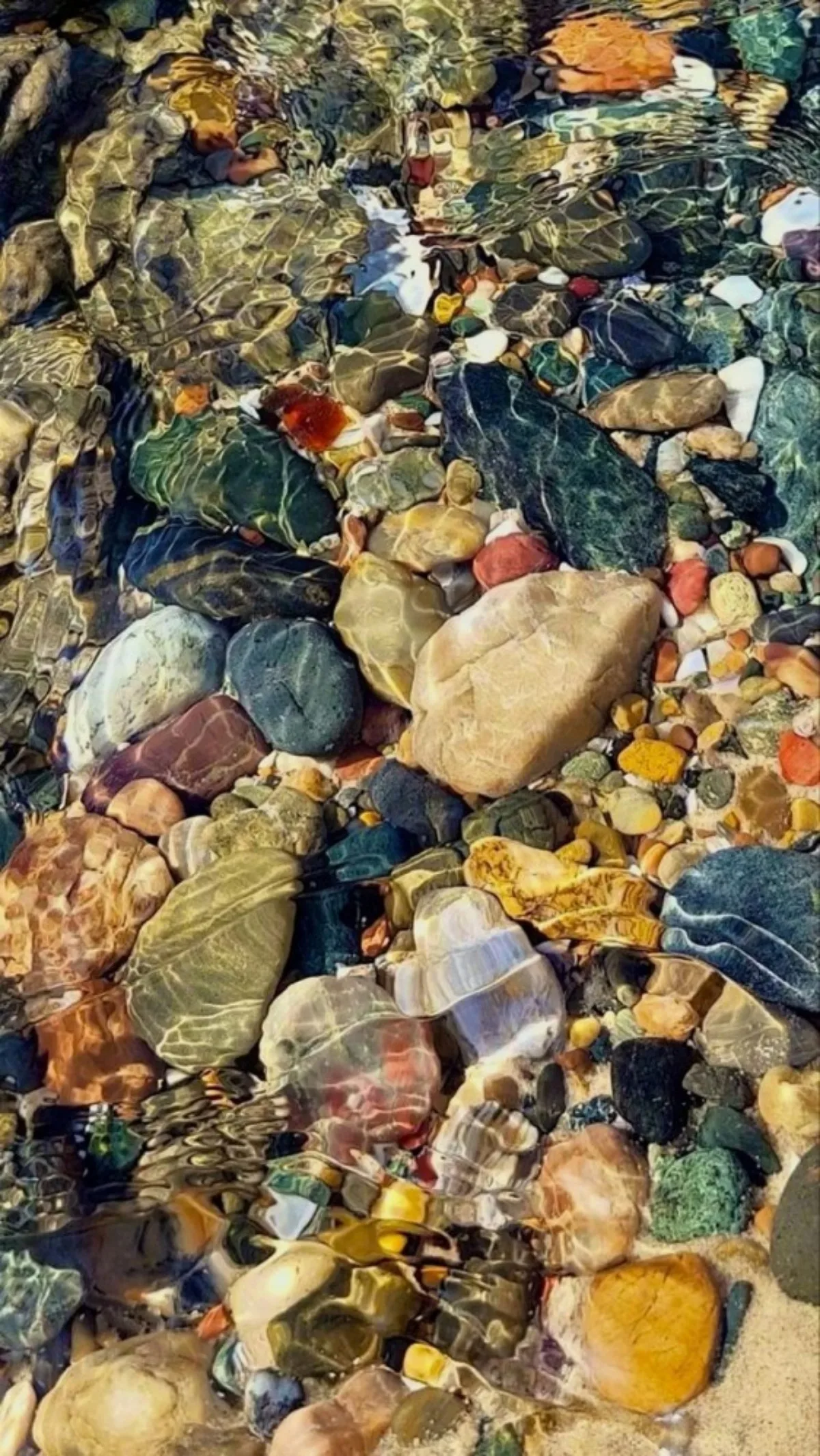 

Осенний женский короткий плащ большого размера: универсальный и простой дизайн, модное шерстяное пальто с V-образным вырезом и длинными рукавами.