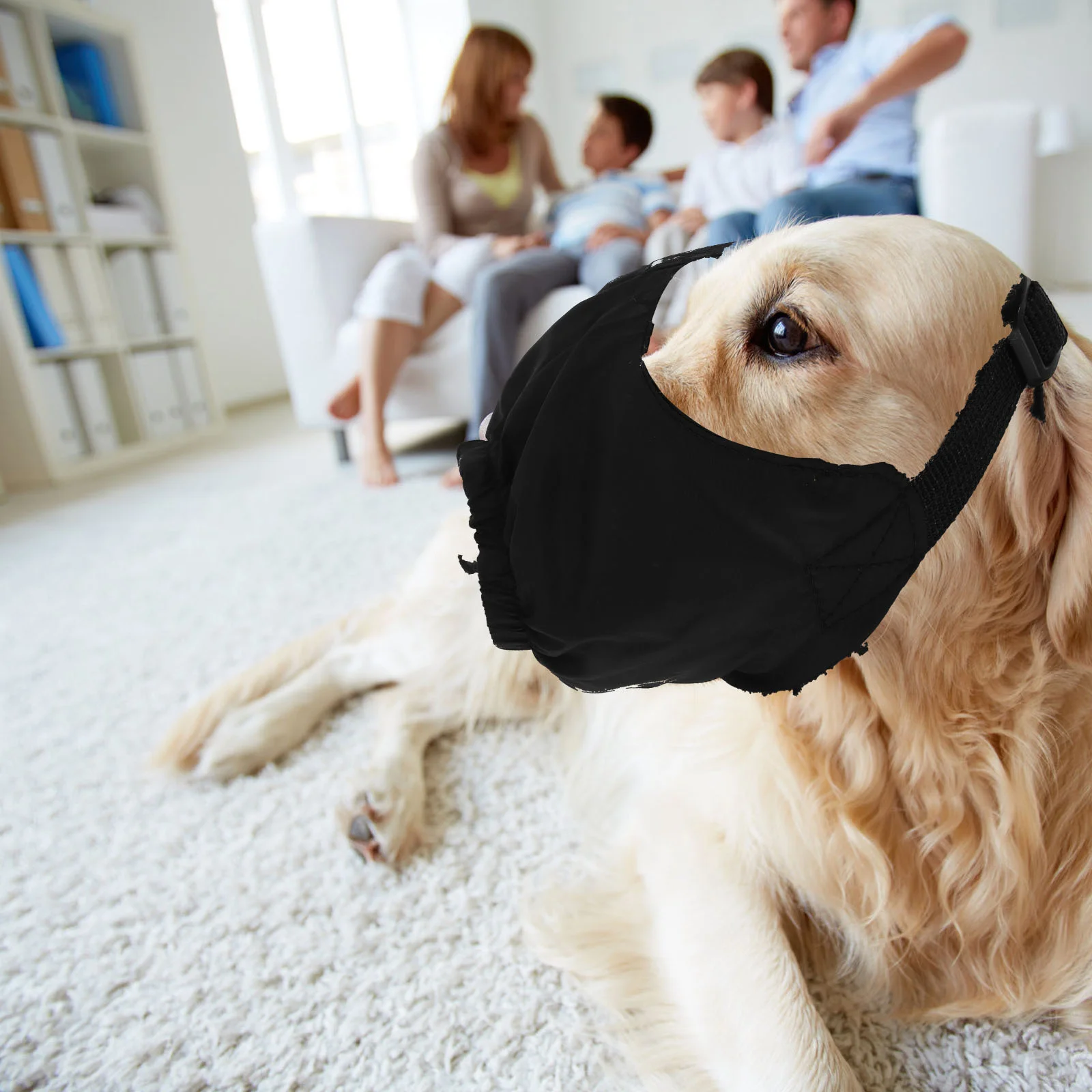 Pet Safety Eye Mask Durable Blinder Cool Patch Outdoor Practical Multi-purpose Head Phones