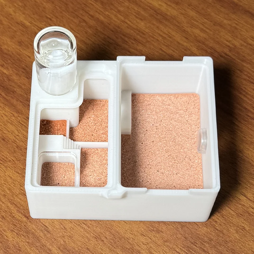 Trockene und nasse Trennung des neuen Ameisenkönigennests, aggressive Ameisenrückseite, Ameisenernähte, 3D-Druck Ameisennest, Ameisenkönigin Rasse