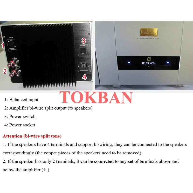 Tokban 1pair Reference Goldmund Telos 1000 Mono Power Amplifier 550w High Power Class AB Amp Balanced XLR HIFI Amplifier Audio