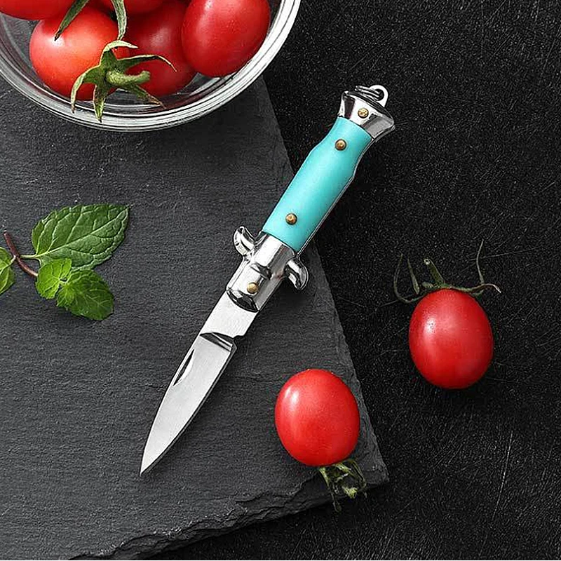 Multi-functional mini EDC folding knife portable key ring camping peeling knife exquisite knife with key chain for holiday gift