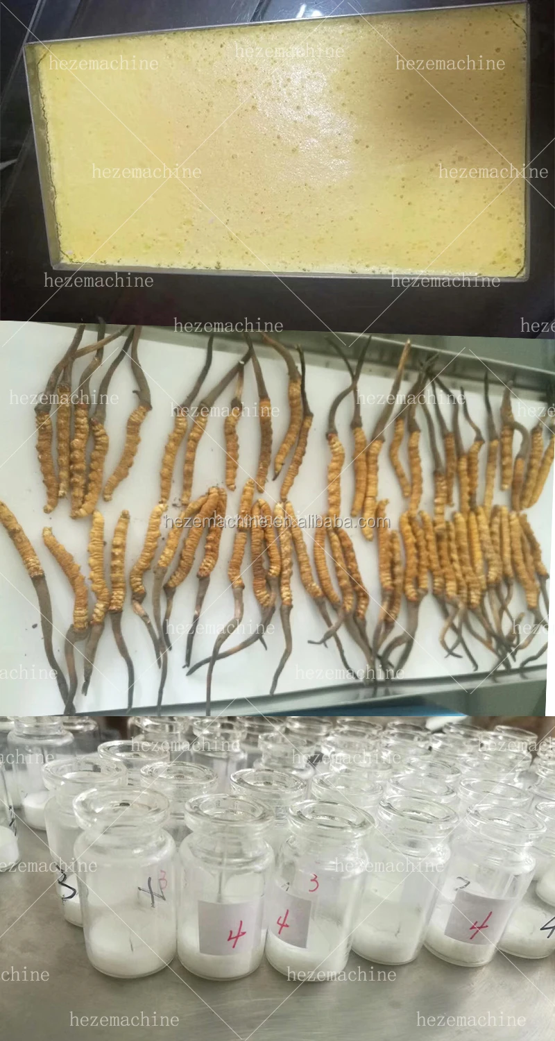 4~6kg Small Vacuum Drying Machine  Dryer Industrial Mini Home Laboratory Food Lyophilizer